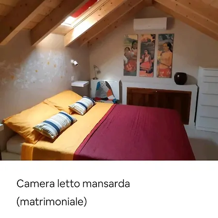 Nel Cuore Di Cagliari - Q2723 *